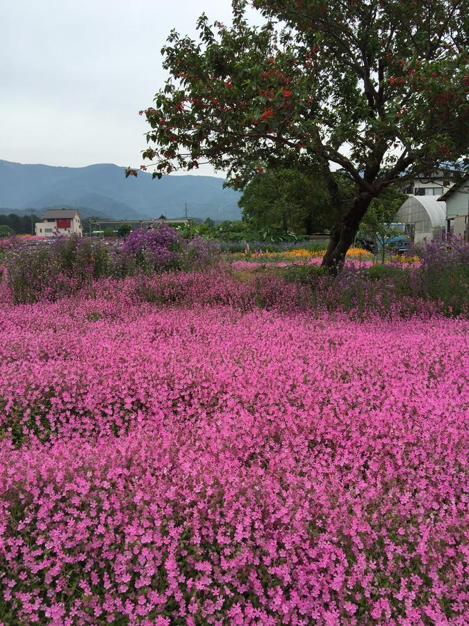 Minshuku Narao Hotel Nagano Esterno foto